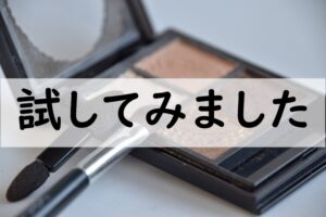 試してみました