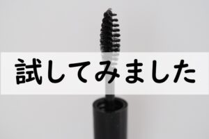 試してみました1