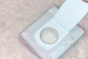 wonjungyo容器・付属品