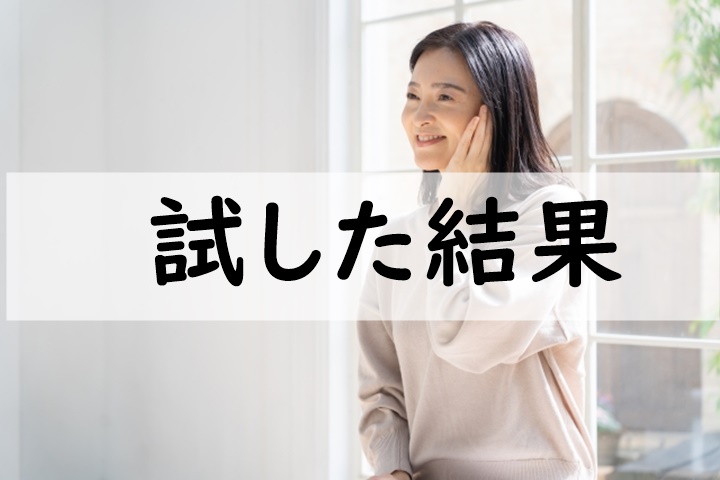 試した結果