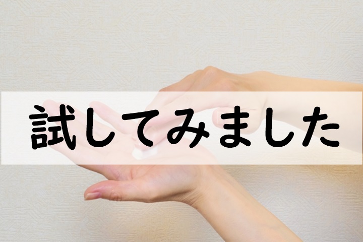 試してみました