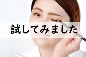 試してみました