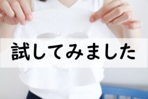 試してみました