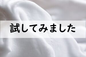 試してみました