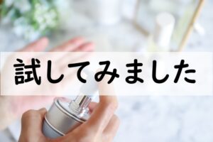 試してみました