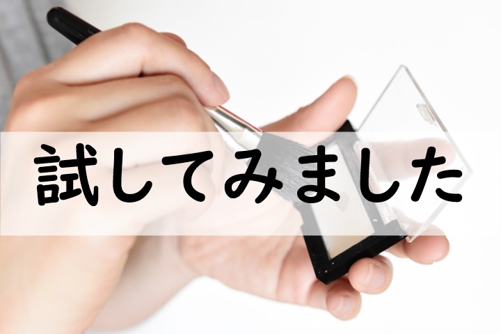 試してみました