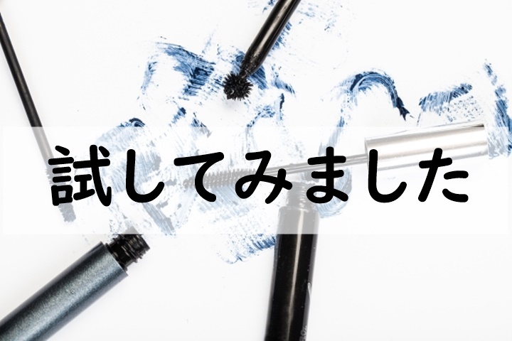 試してみました