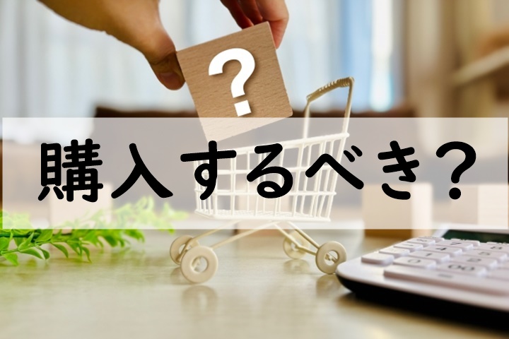 購入するべき