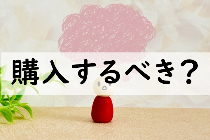購入するべき