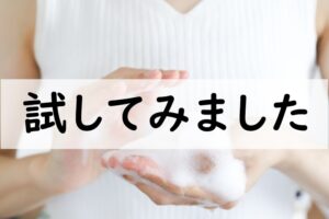 試してみました