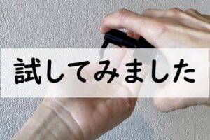 試してみました