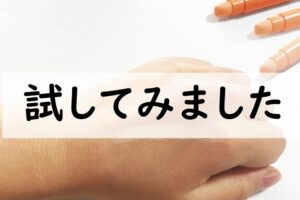 試してみました