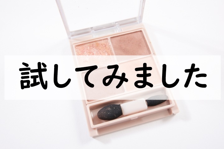 試してみました