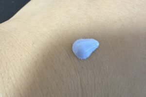 givenchyおすすめの使い方1