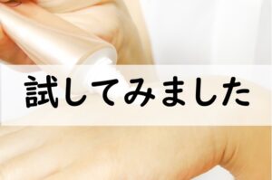 試してみました