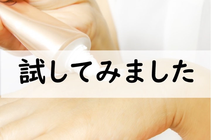試してみました