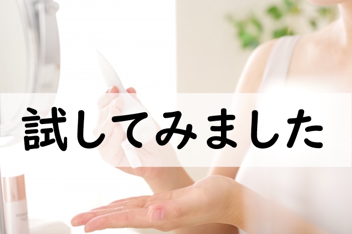 試してみました