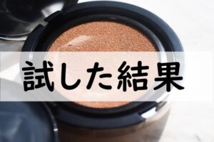 試した結果