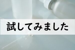 試してみました