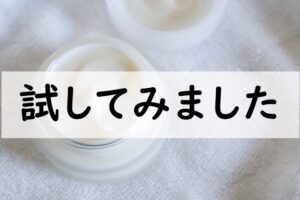 試してみました