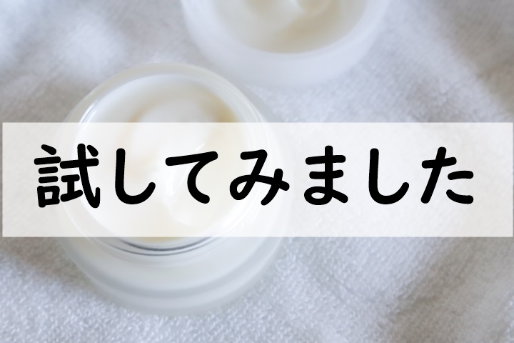 試してみました