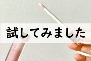 試してみました