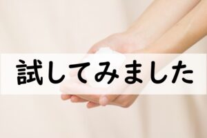 試してみました
