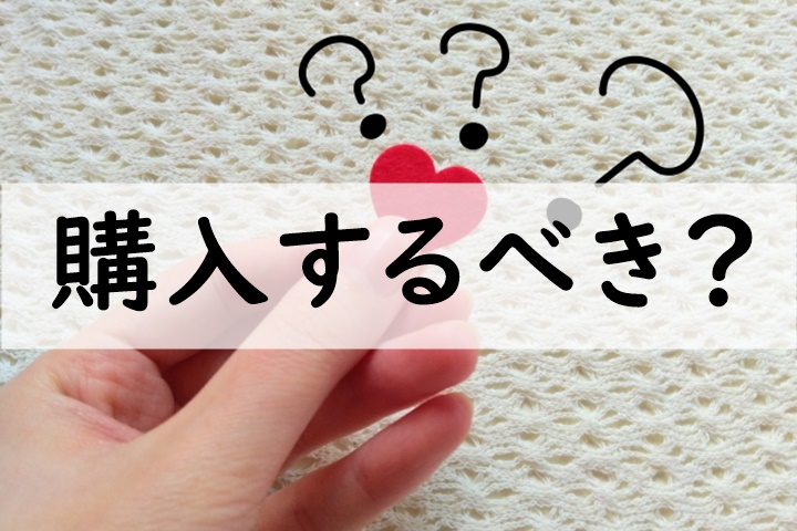 購入するべき