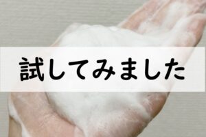 試してみました