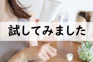 試してみました