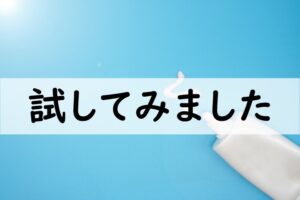 試してみました