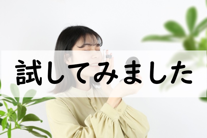 試してみました