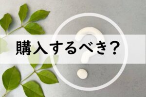 購入するべき