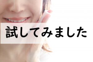 試してみました