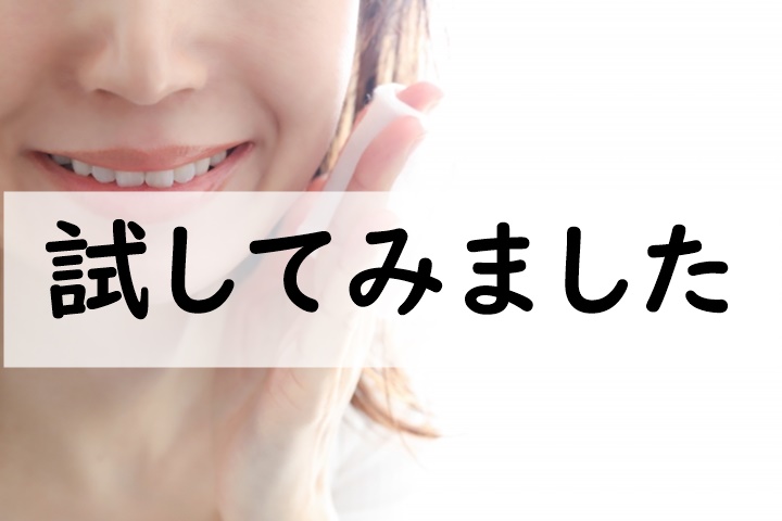 試してみました