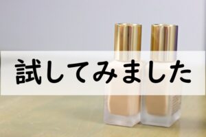 試してみました