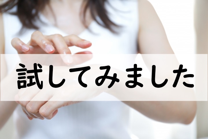 試してみました