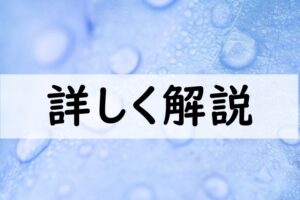 詳しく解説
