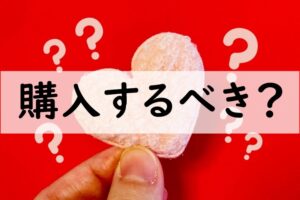 購入するべき
