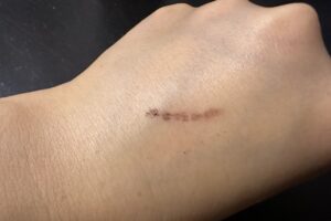 kateおすすめの使い方2