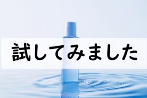 試してみました