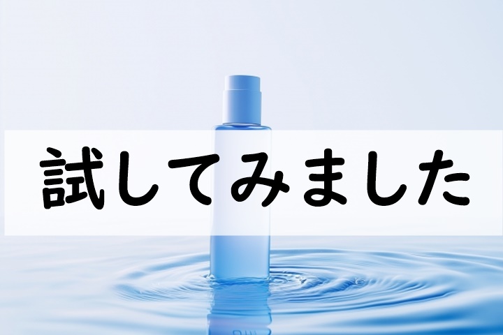 試してみました