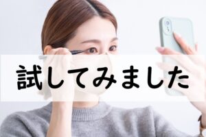 試してみました