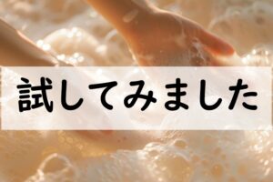 試してみました