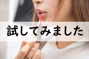 試してみました