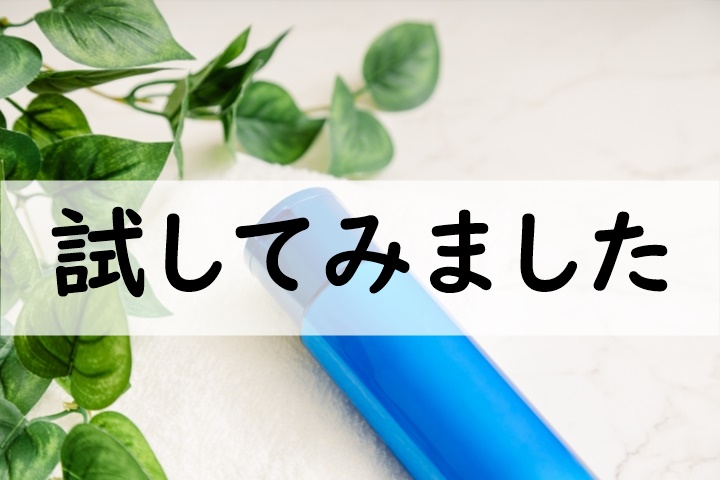試してみました