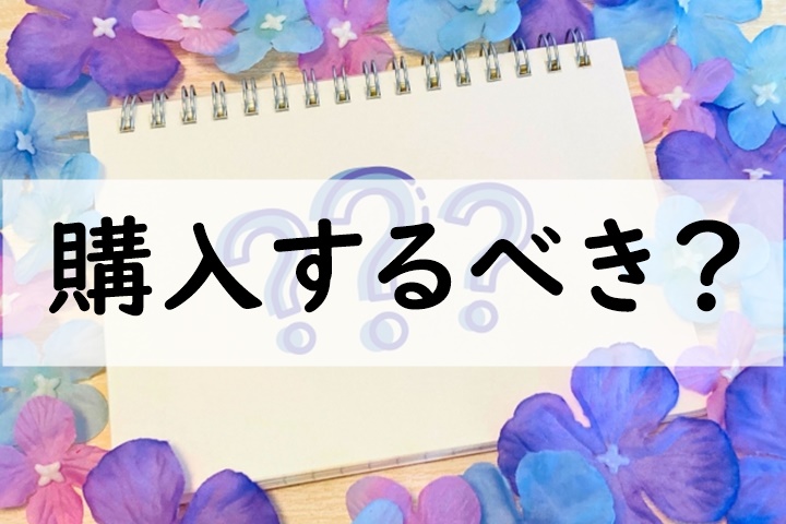 購入するべき