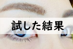 試した結果