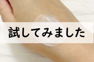 試してみました