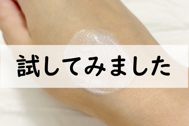 試してみました